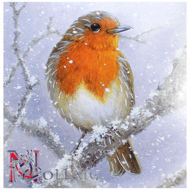 Winter Robin Christmas Cards, Christmas Cards designed and published in Ireland, in aid of charity Aware